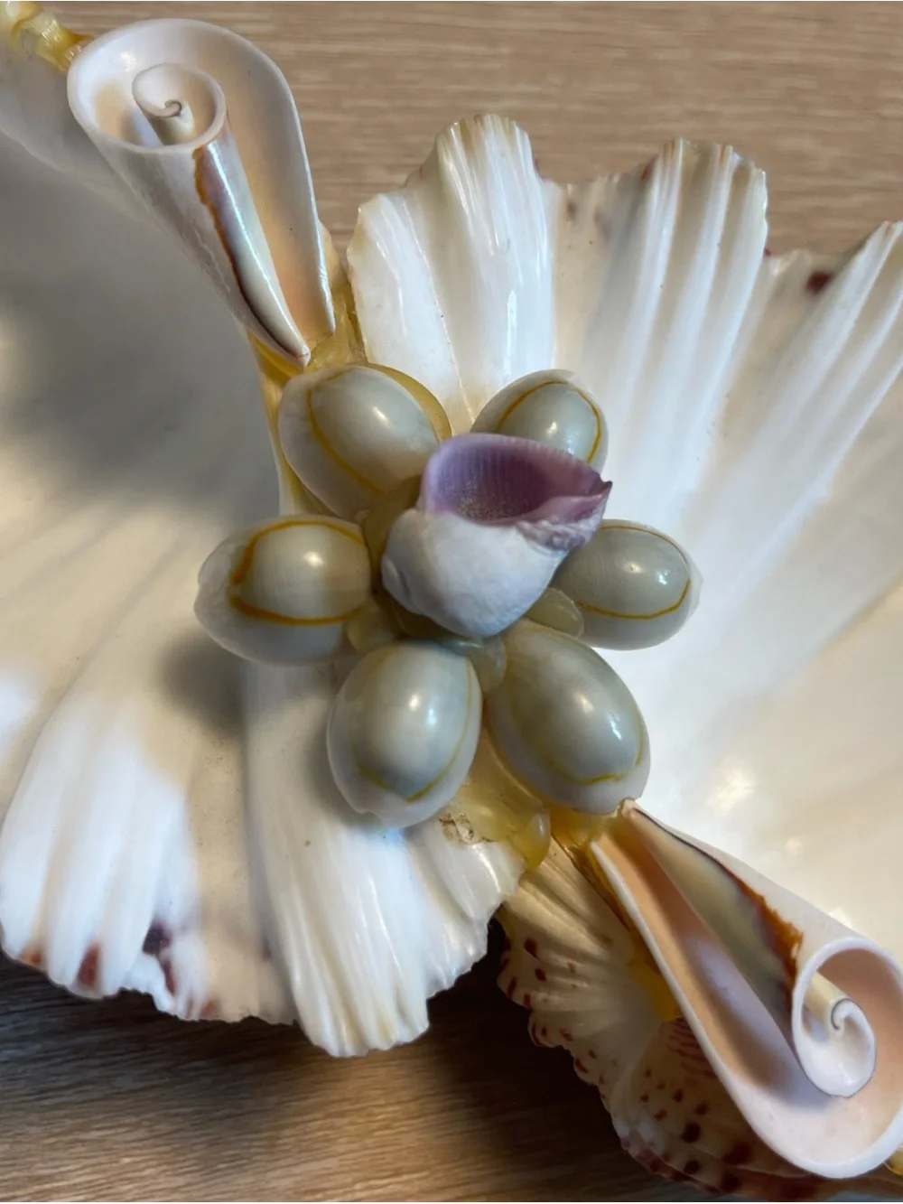 Vintage Natural Sea Shell Display Trinket Soap Dish Nautical Fisherman Ocean